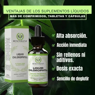 🌿🤩CLOROFILIA LIQUIDA 💚Limpia, Refresca y Revitaliza Tu Cuerpo Desde Adentro en Solo Unos Minutos al Día🤯🍃