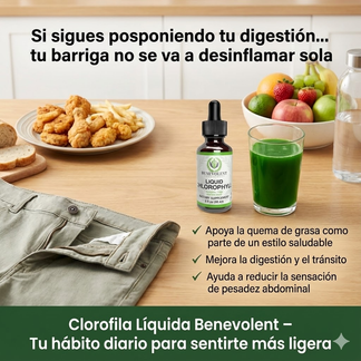 🌿🤩CLOROFILIA LIQUIDA 💚Limpia, Refresca y Revitaliza Tu Cuerpo Desde Adentro en Solo Unos Minutos al Día🤯🍃