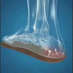 👟TENIS MOCASIN ORTOPEDICO PRIMAVERA🤩 PARA DAMA🥰